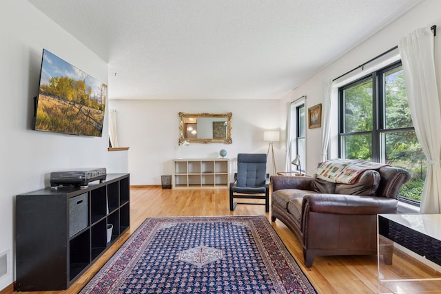 1283 Bidwell St, West Saint Paul, MN 55118 - living area featuring wood finished floors and a textured ceiling