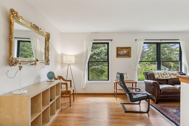 1283 Bidwell St, West Saint Paul, MN 55118 - living area with light wood-style floors and baseboards
