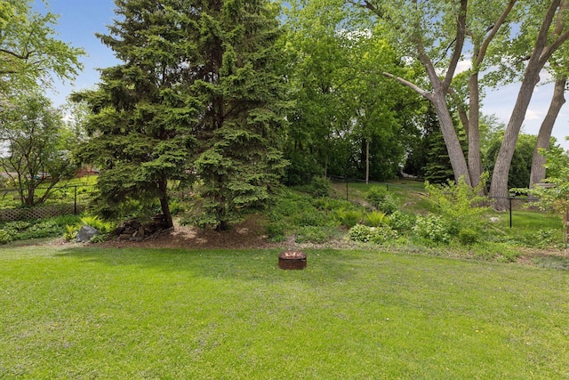 1283 Bidwell St, West Saint Paul, MN 55118 - view of yard