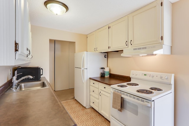 4566 Cedar Lake Rd S Unit 3, Saint Louis Park, MN 55416 - kitchen featuring white appliances, under cabinet range hood, and a sink