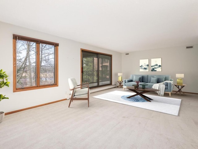 5501 Dewey Hill Rd Unit 233, Edina, MN 55439 - carpeted living room with visible vents and baseboards