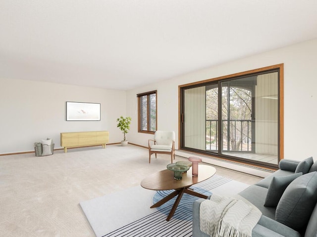 5501 Dewey Hill Rd Unit 233, Edina, MN 55439 - carpeted living area with baseboard heating and baseboards