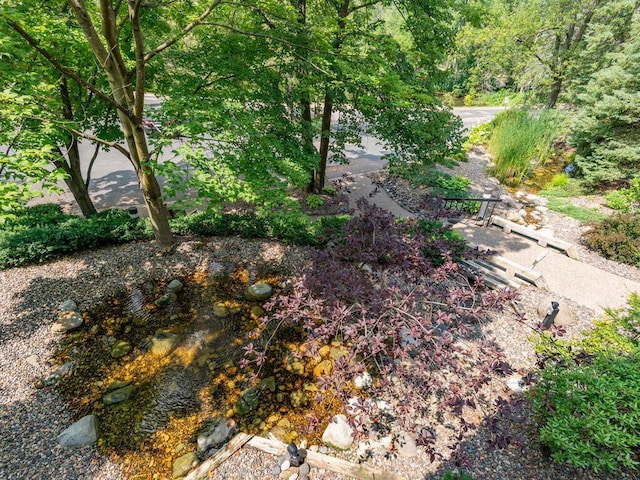 5501 Dewey Hill Rd Unit 233, Edina, MN 55439 - view of yard