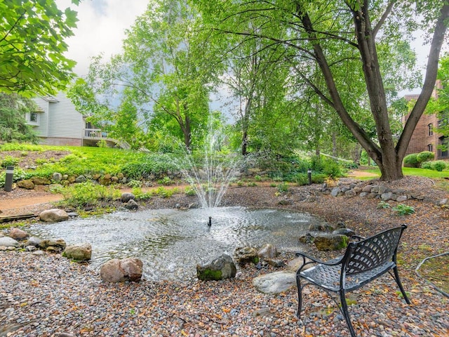 5501 Dewey Hill Rd Unit 233, Edina, MN 55439 - view of yard