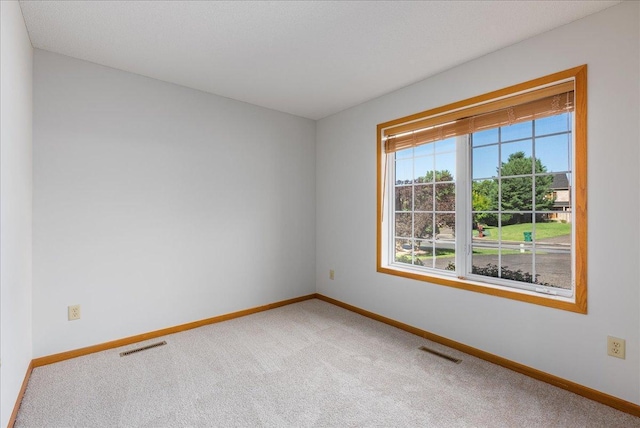 2228 White Pine Ct, Hudson, WI 54016 - spare room with carpet flooring and baseboards
