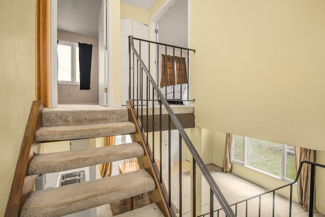 stairs with carpet floors