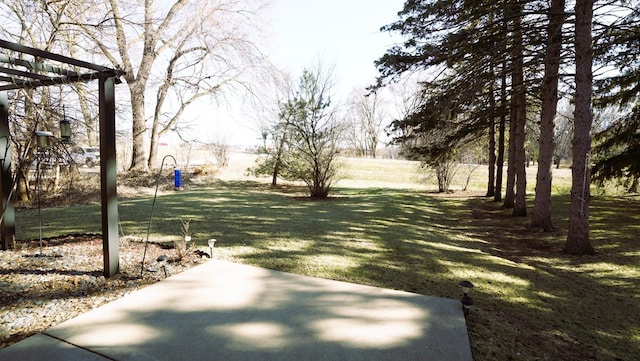 view of yard with a patio area