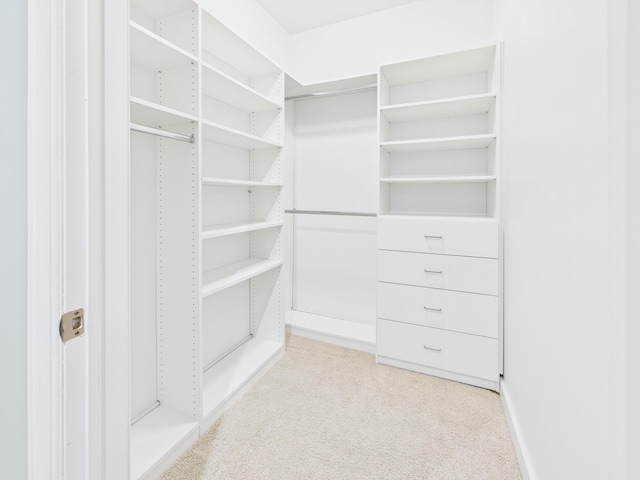 300 Wall St Unit 201, Saint Paul, MN 55101 - spacious closet with light carpet