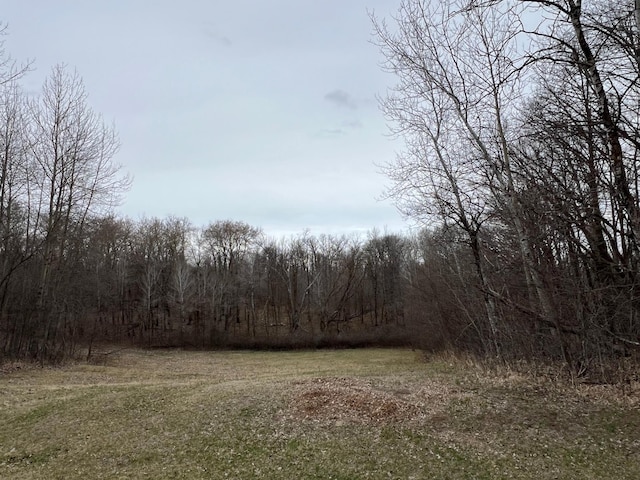 view of nature with a forest view