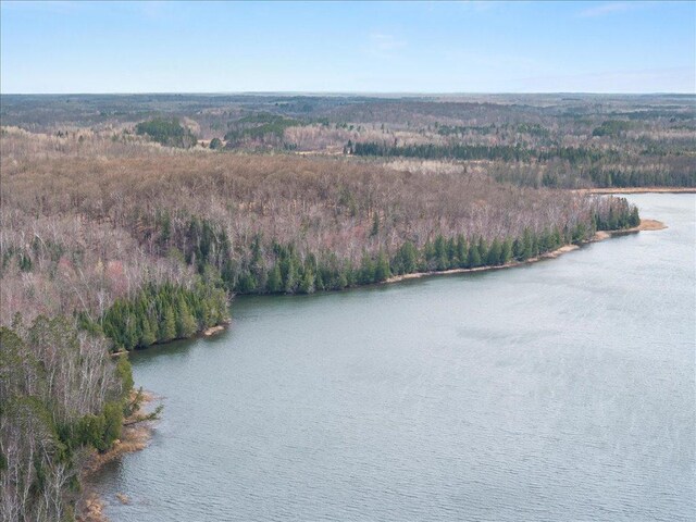 TBD 640th Ln, Jacobson, MN 55752