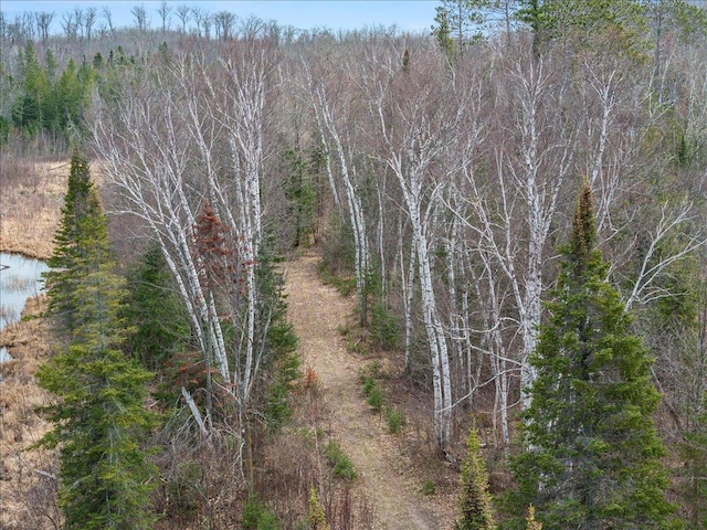 TBD 640th Ln, Jacobson, MN 55752