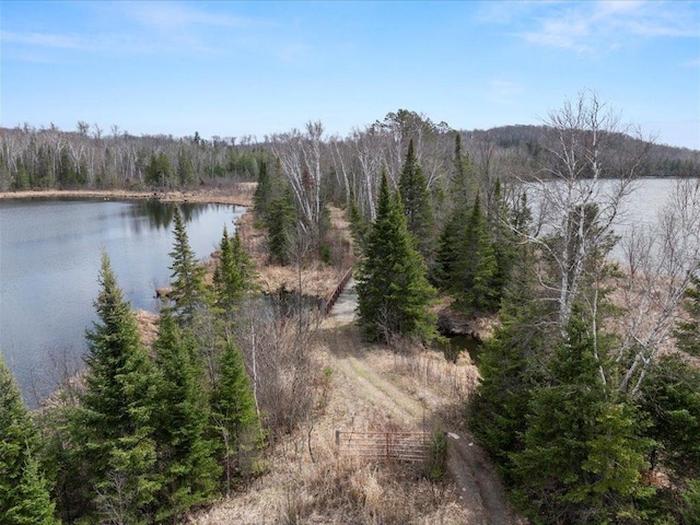 TBD 640th Ln, Jacobson, MN 55752