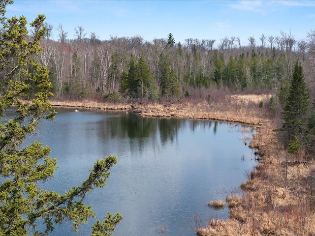 TBD 640th Ln, Jacobson, MN 55752