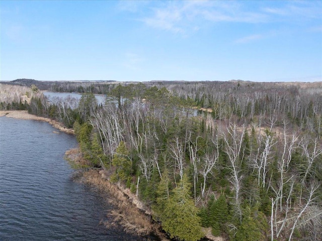 TBD 640th Ln, Jacobson, MN 55752