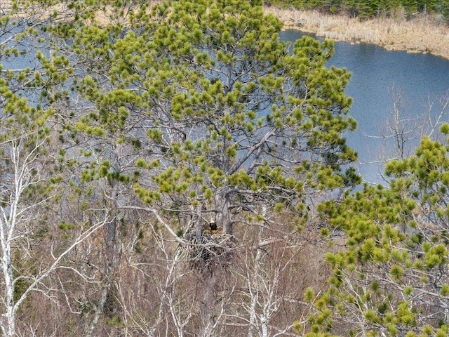 TBD 640th Ln, Jacobson, MN 55752