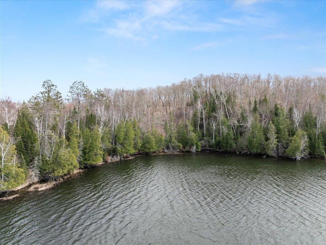 TBD 640th Ln, Jacobson, MN 55752
