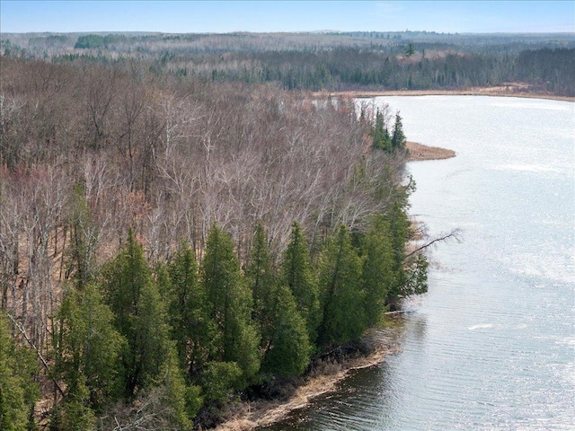 TBD 640th Ln, Jacobson, MN 55752