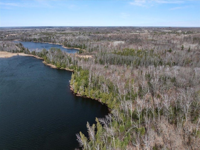 TBD 640th Ln, Jacobson, MN 55752