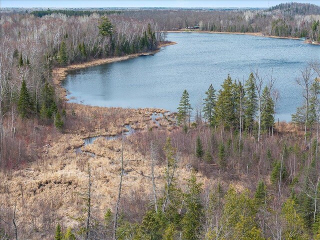 TBD 640th Ln, Jacobson, MN 55752