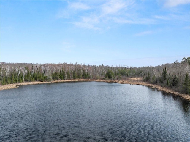 TBD 640th Ln, Jacobson, MN 55752