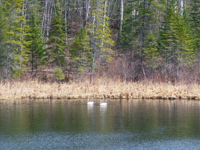 TBD 640th Ln, Jacobson, MN 55752