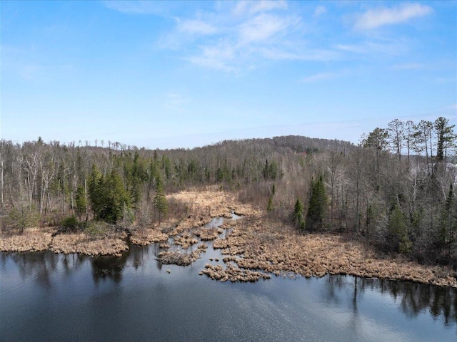 TBD 640th Ln, Jacobson, MN 55752