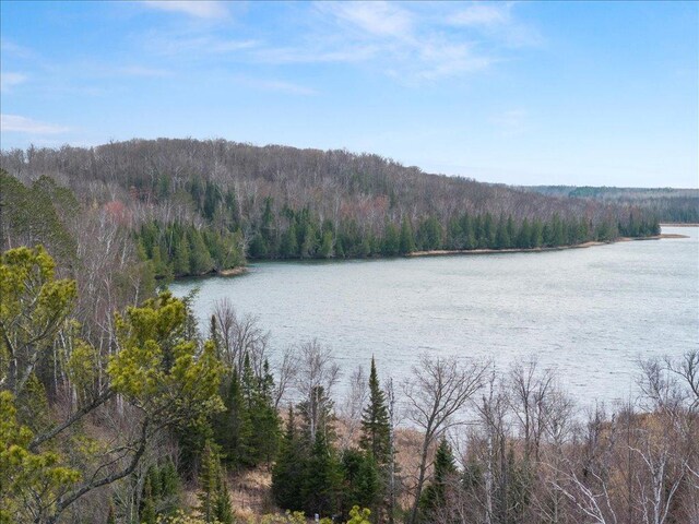 TBD 640th Ln, Jacobson, MN 55752