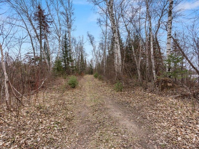 TBD 640th Ln, Jacobson, MN 55752