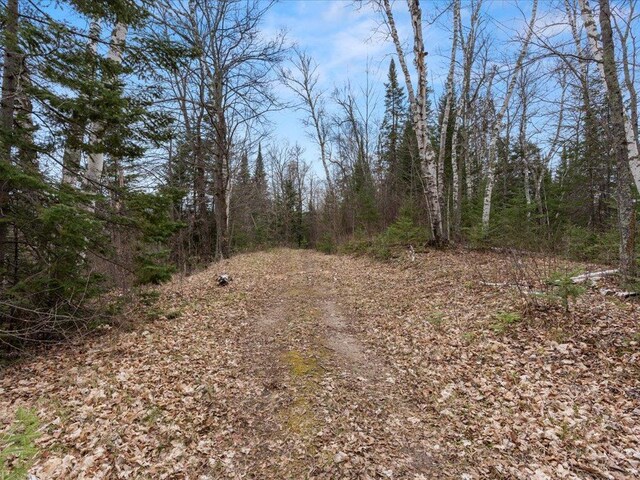 TBD 640th Ln, Jacobson, MN 55752
