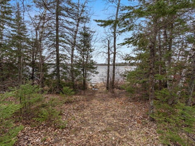 TBD 640th Ln, Jacobson, MN 55752