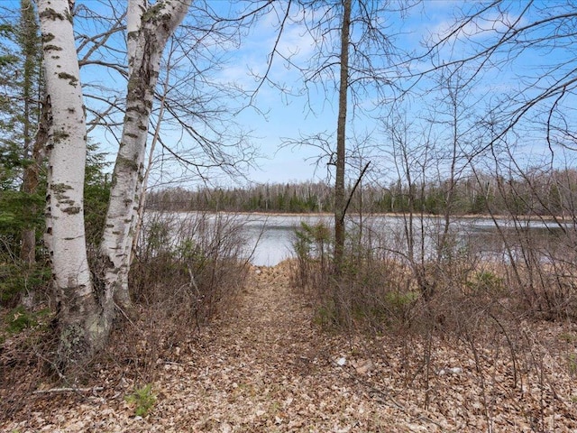 TBD 640th Ln, Jacobson, MN 55752