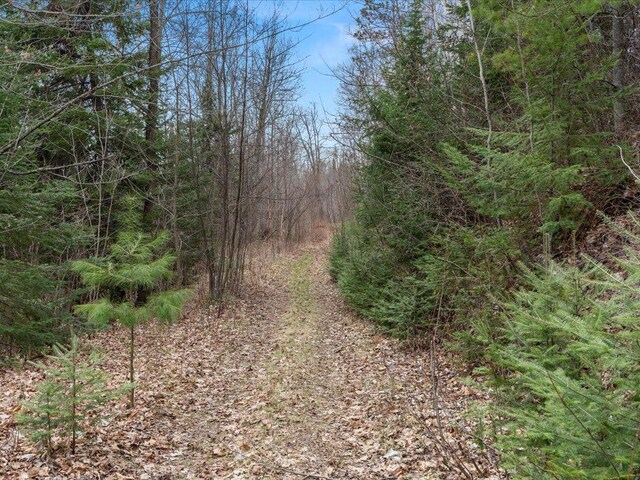 TBD 640th Ln, Jacobson, MN 55752