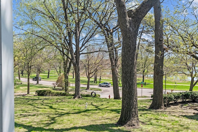 view of community with a yard