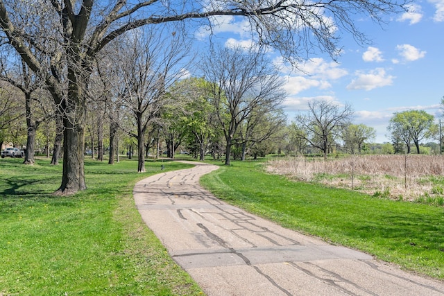 view of community featuring a yard and driveway