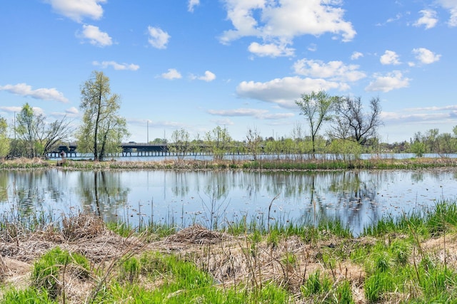 5224 17th Ave S, Minneapolis, MN 55417 - water view