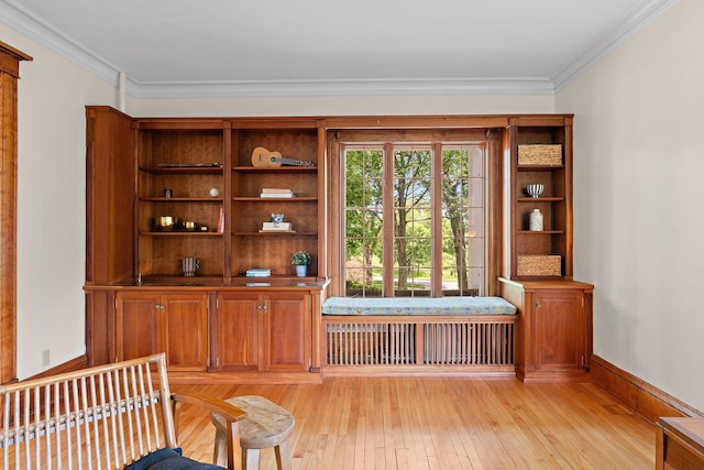 5224 17th Ave S, Minneapolis, MN 55417 - sitting room with radiator, light wood finished floors, and ornamental molding