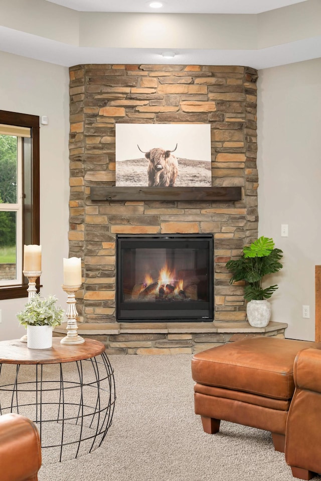 3839 189th Ln NW, Oak Grove, MN 55303 - detailed view of a fireplace and carpet floors