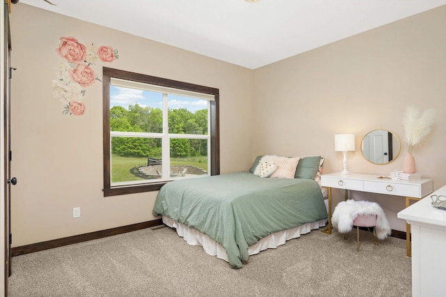 3839 189th Ln NW, Oak Grove, MN 55303 - bedroom featuring light carpet and baseboards