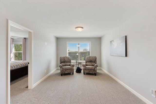 sitting room featuring carpet, baseboards, healthy amount of natural light, and a textured ceiling