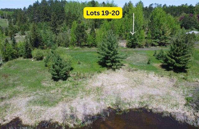 80052 Tamarack Trl, Tower, MN 55790