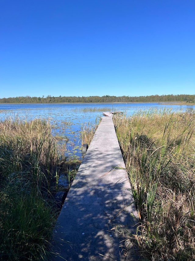 dock with a water view