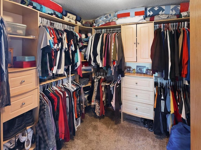 2052 Wilhelm Ct, Shakopee, MN 55379 - walk in closet featuring dark colored carpet
