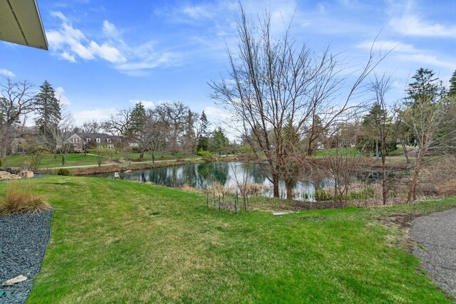 702 Valley Way, Hopkins, MN 55305 - photo 29
