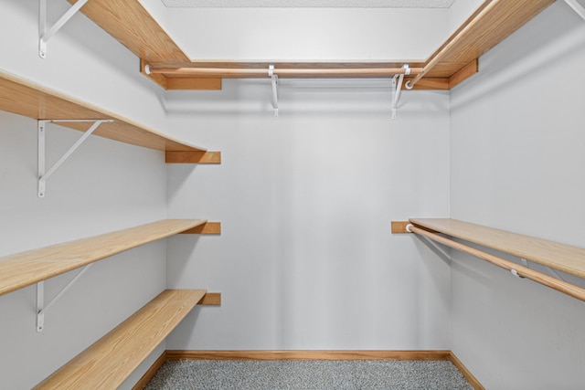 spacious closet with carpet floors