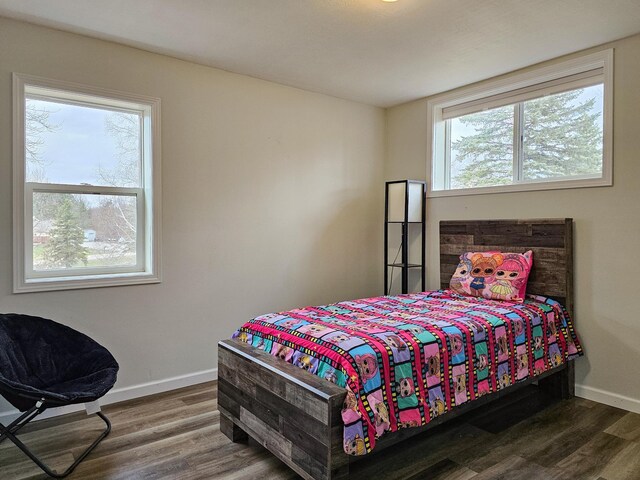 bedroom with baseboards, multiple windows, and wood finished floors