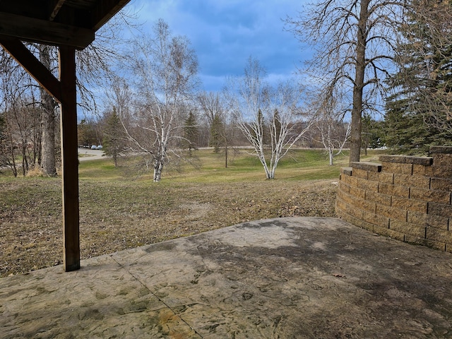 view of yard featuring a patio