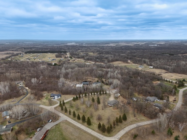 bird's eye view