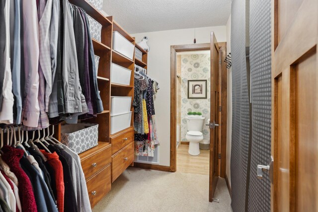 3850 Plymouth Blvd Unit 318, Plymouth, MN 55446 - walk in closet featuring light colored carpet