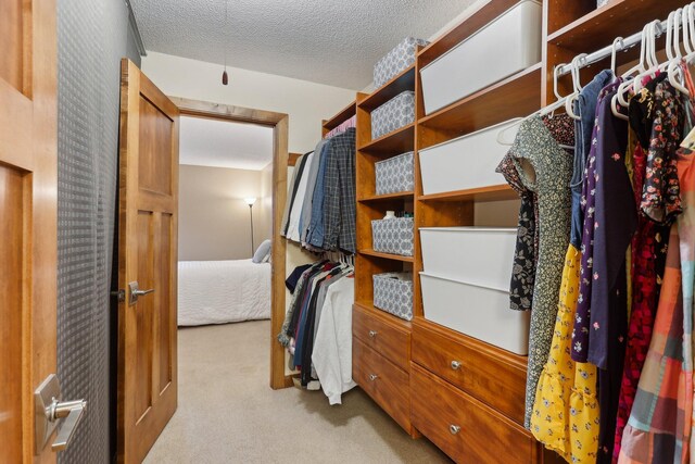 3850 Plymouth Blvd Unit 318, Plymouth, MN 55446 - spacious closet featuring carpet