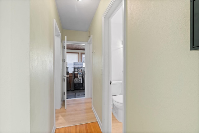 hall with baseboards and light wood-type flooring